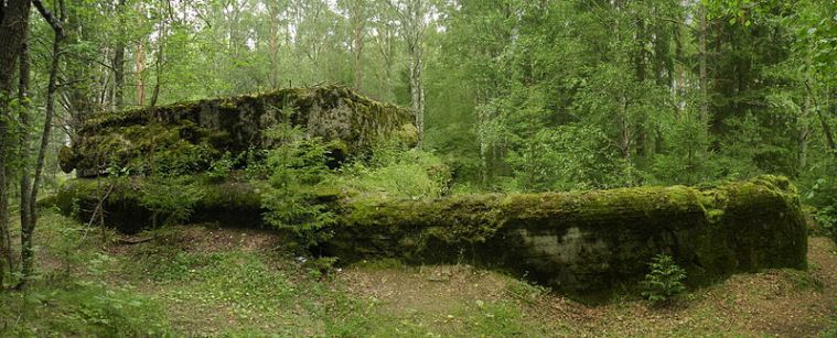 Mannerheim Line